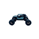 Carrinho Luptoys 4X4 com Controle Remoto para Competição