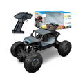 Carrinho 4X4 com Controle Remoto